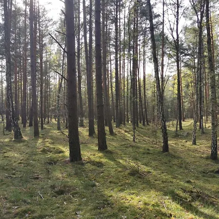 M&k Apartament Kwiatowa Gdańsk